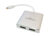 POWERTECH αντάπτορας USB-C σε 2x DisplayPort CAB-UC034, 4K/60Hz, ασημί, CAB-UC034