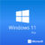 MICROSOFT Windows 11 Pro FQC-10528, 64Bit, ENG, Intl 1pk, DSP, OEI, DVD, FQC-10528