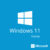 MICROSOFT Windows Home 11 KW9-00632, 64Bit, ENG, Intl 1pk, DSP, OEI, DVD, KW9-00632
